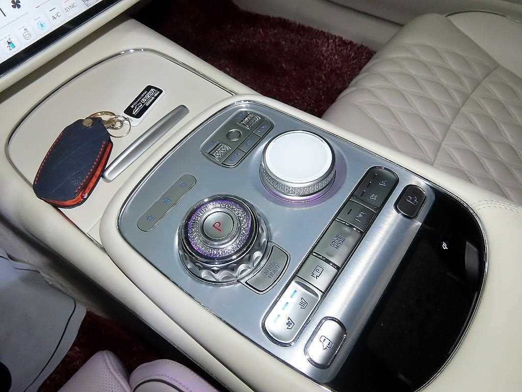 Genesis G90 - Vista 12