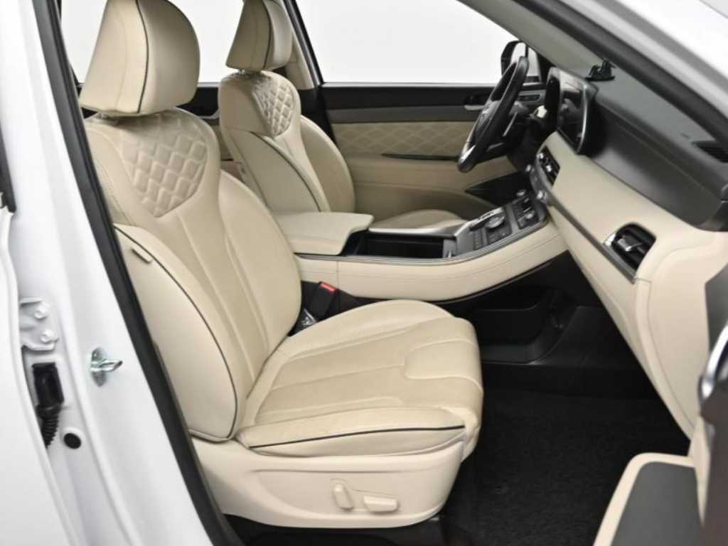 HYUNDAI Palisade - Vista 10