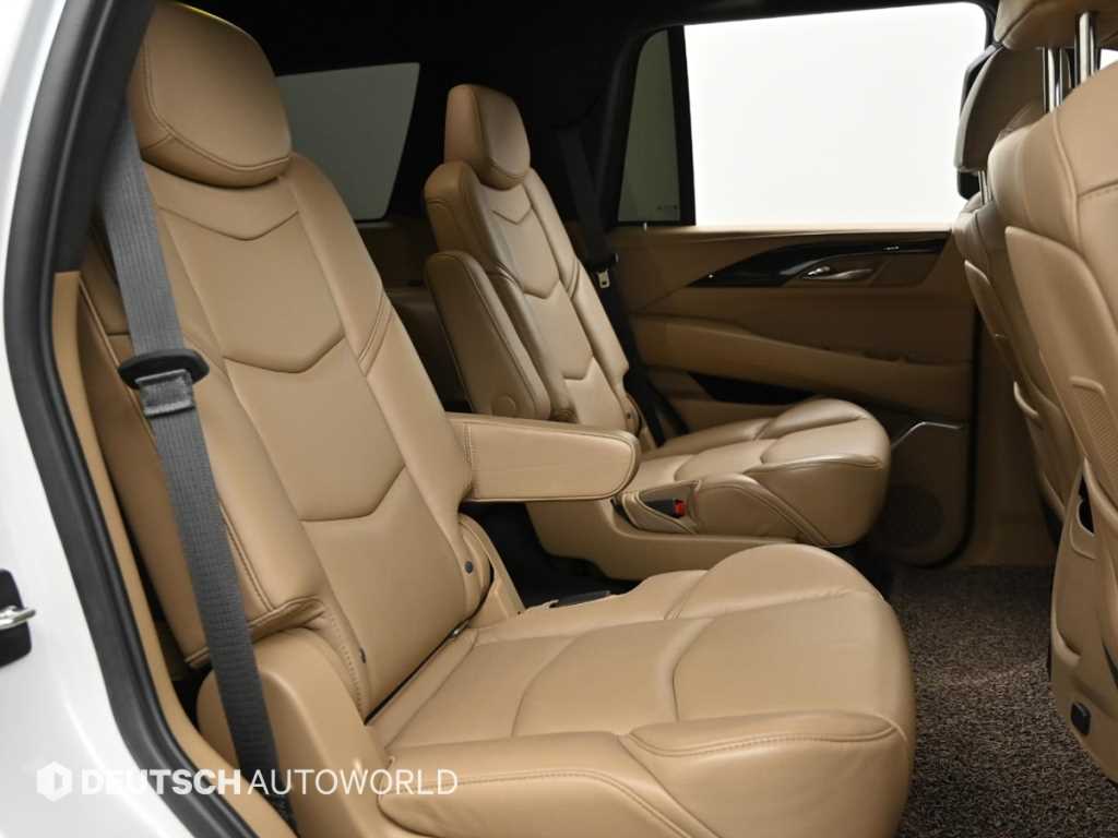 Cadillac Escalade - Vista 12