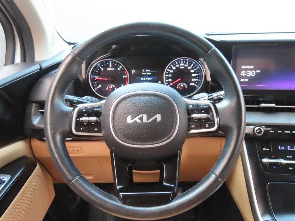 KIA Carnival - Vista 11