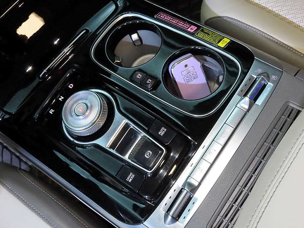 KIA Carnival - Vista 12