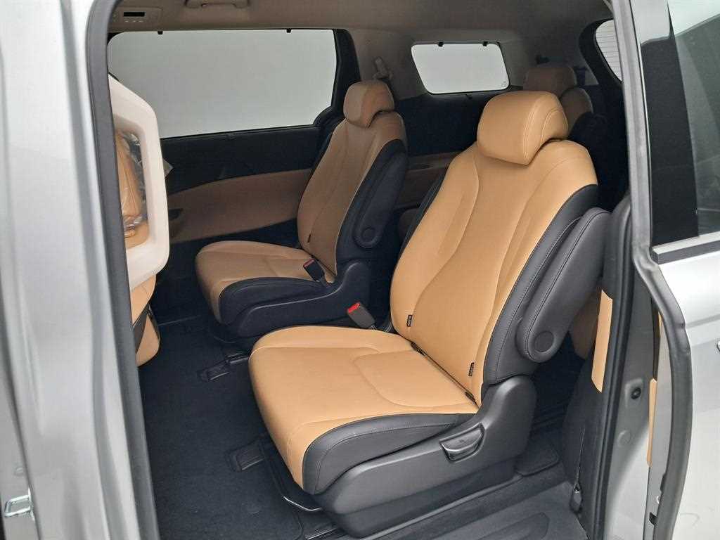 KIA Carnival - Vista 12