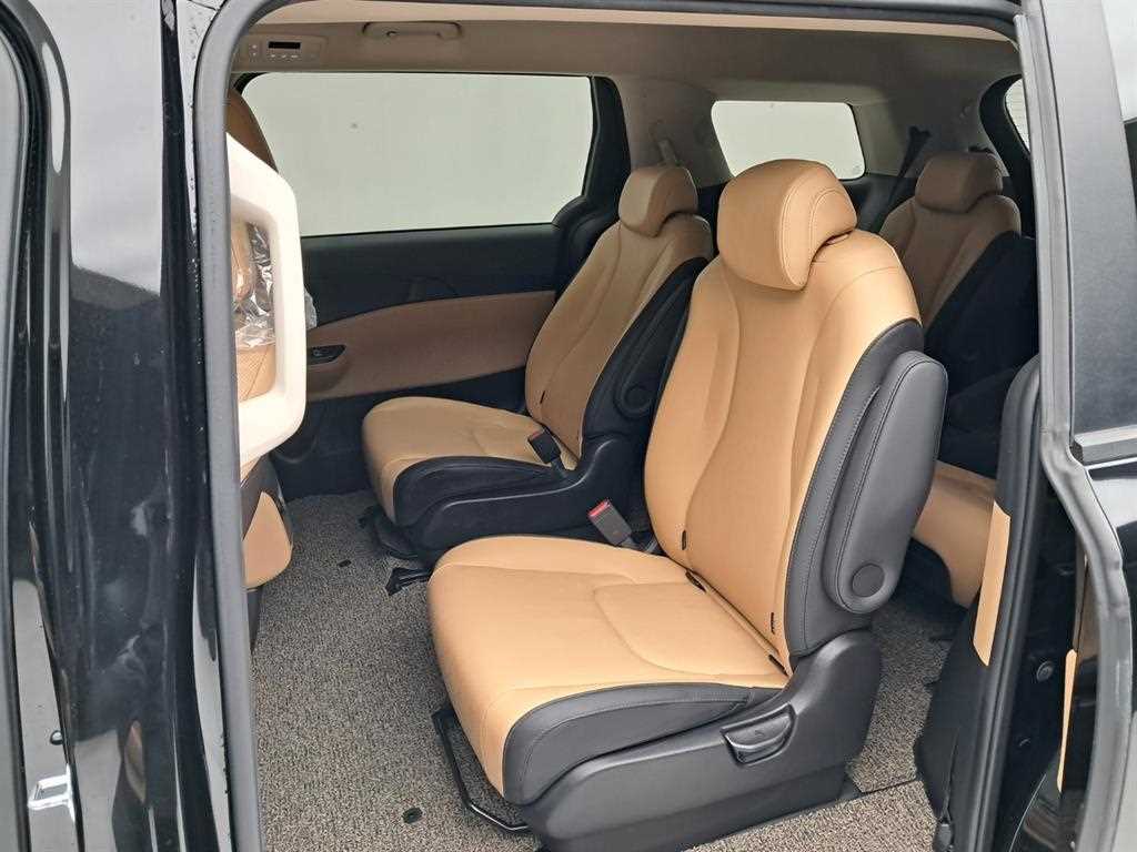 KIA Carnival - Vista 12