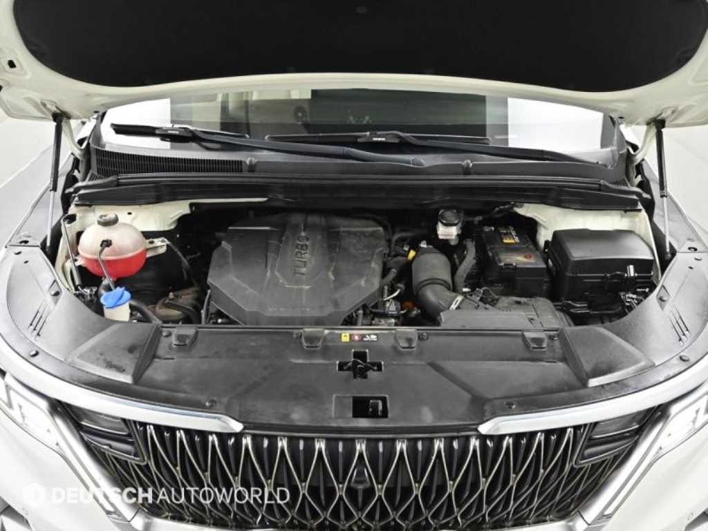 KIA Carnival - Vista 6