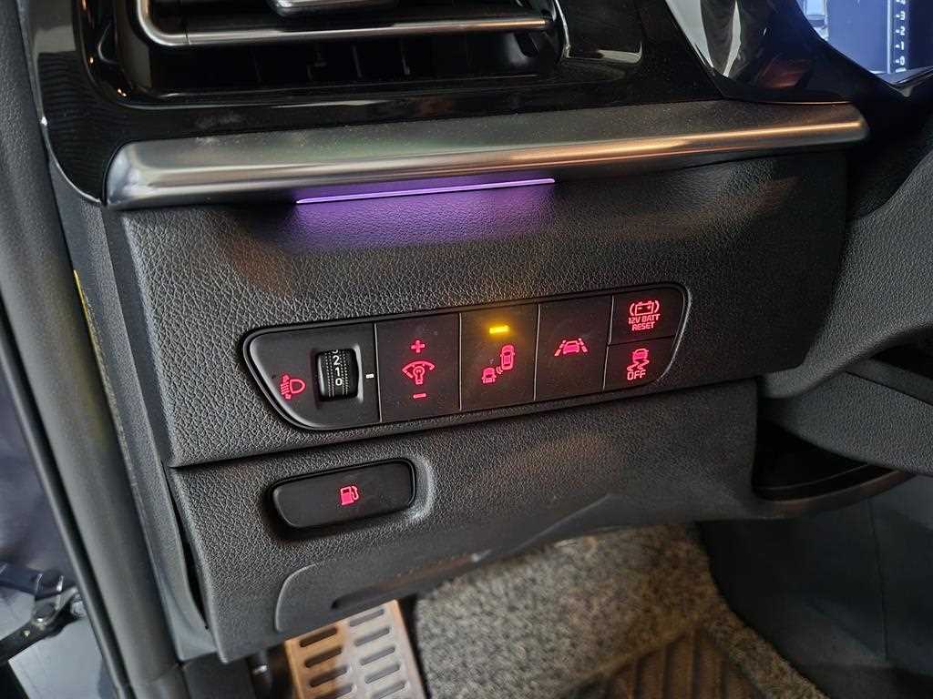 KIA Niro - Vista 11