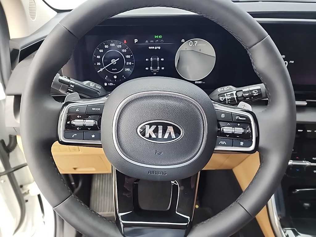 KIA Carnival - Vista 9