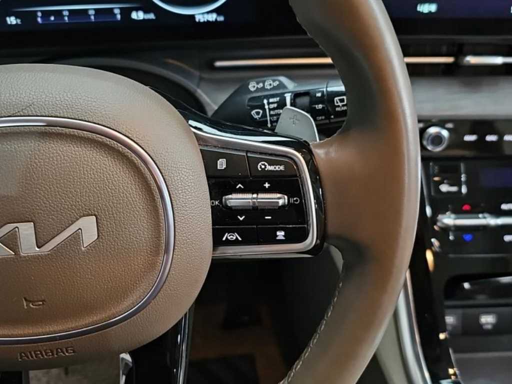 KIA Carnival - Vista 8