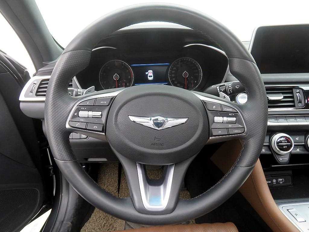 Genesis G70 - Vista 10