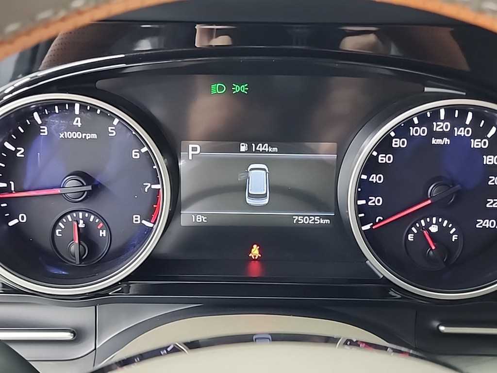 KIA Carnival - Vista 6