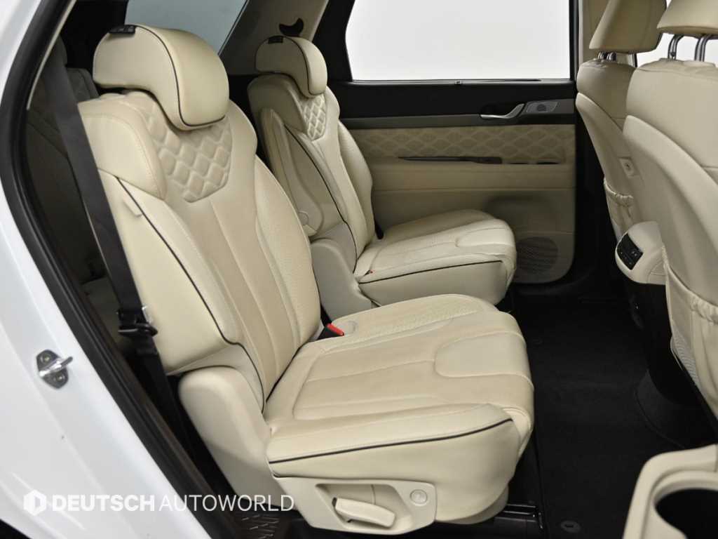 HYUNDAI Palisade - Vista 10