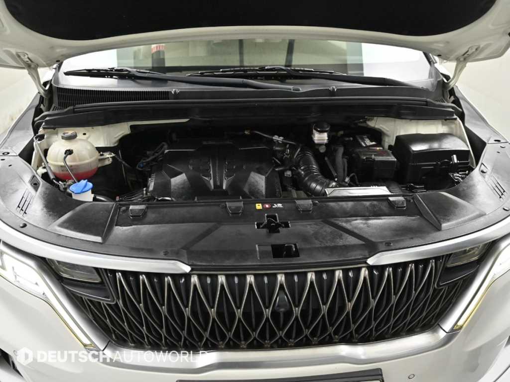 KIA Carnival - Vista 6