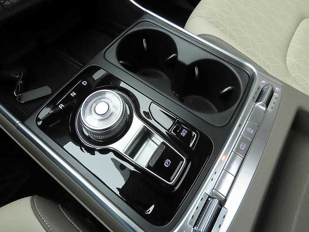 KIA Carnival - Vista 10