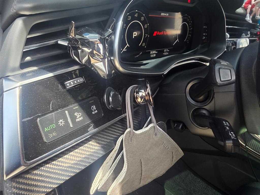 Audi RSQ8 - Vista 10