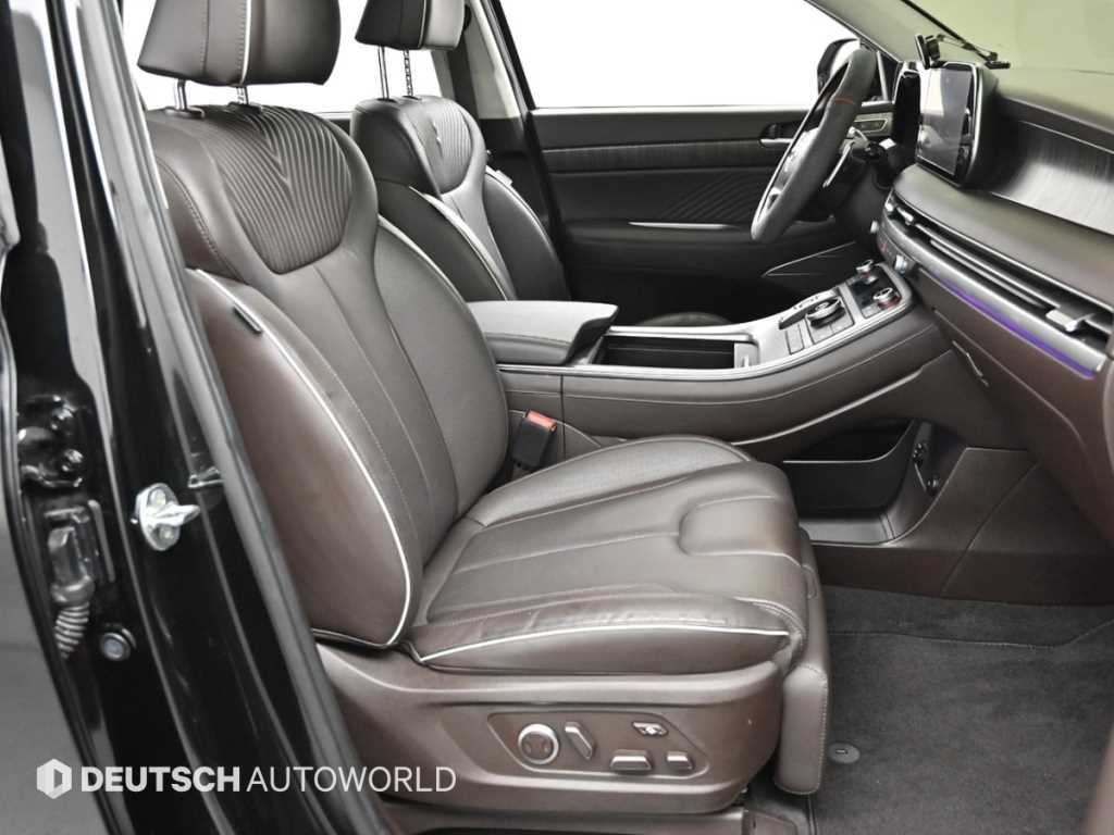 HYUNDAI Palisade - Vista 10