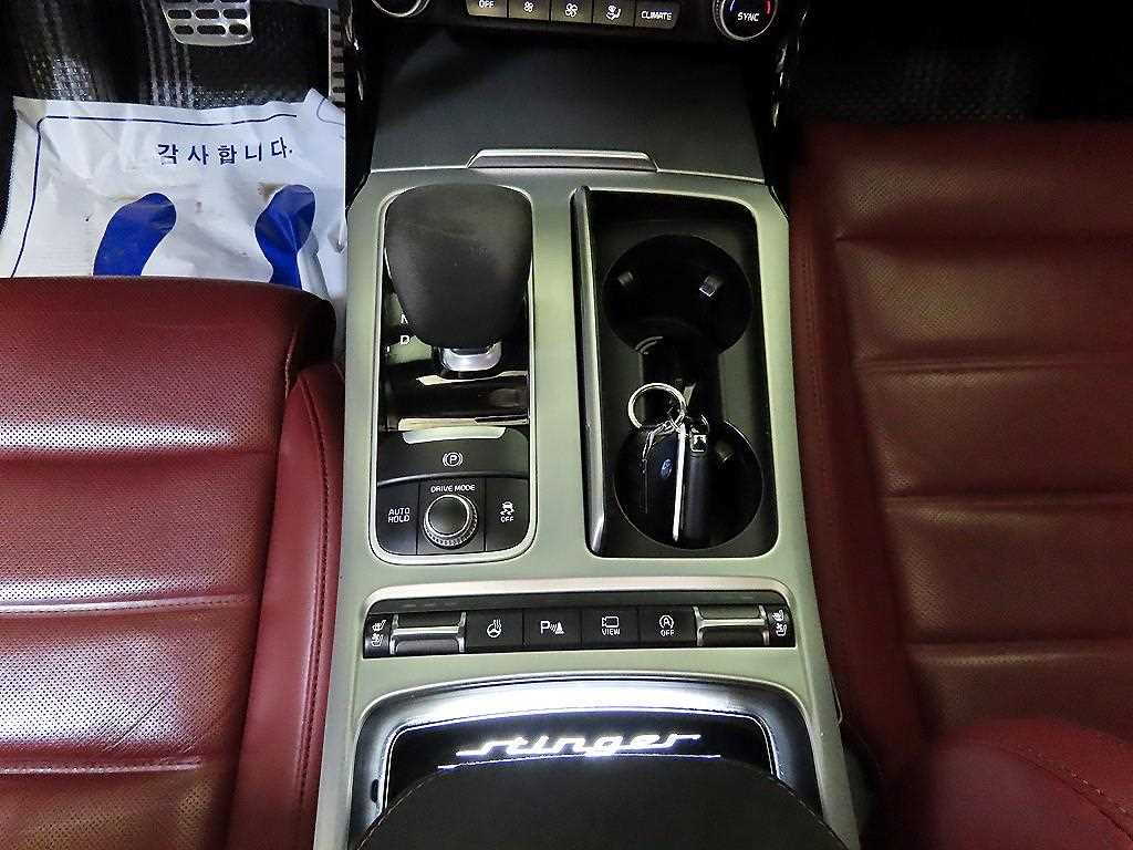 KIA Stinger - Vista 12