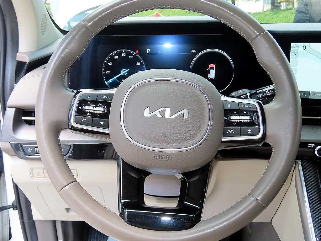 KIA Carnival - Vista 8