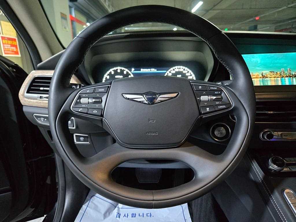 Genesis G90 - Vista 9