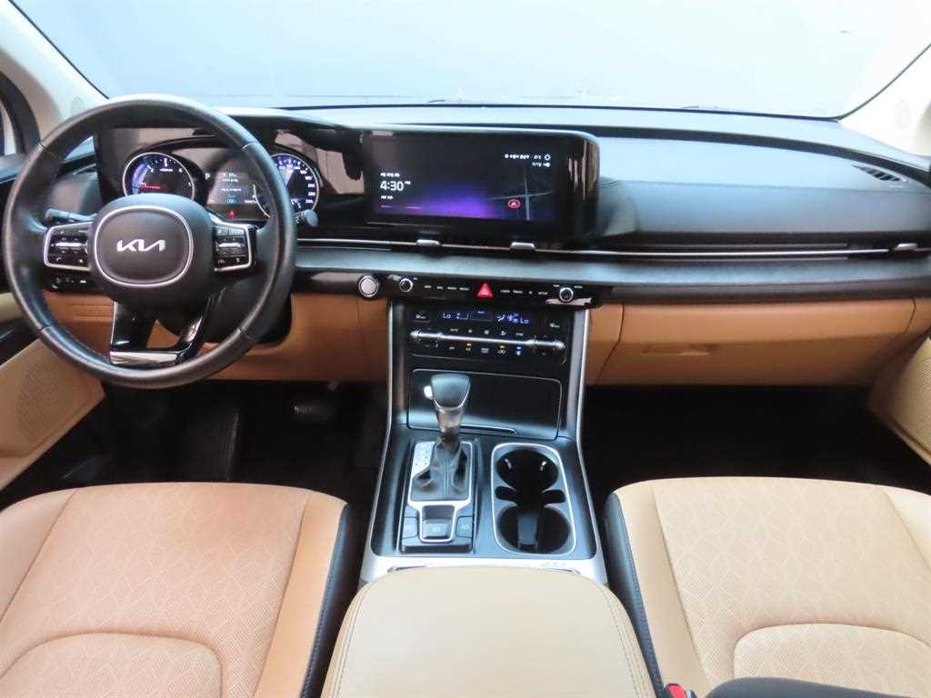 KIA Carnival - Vista 8