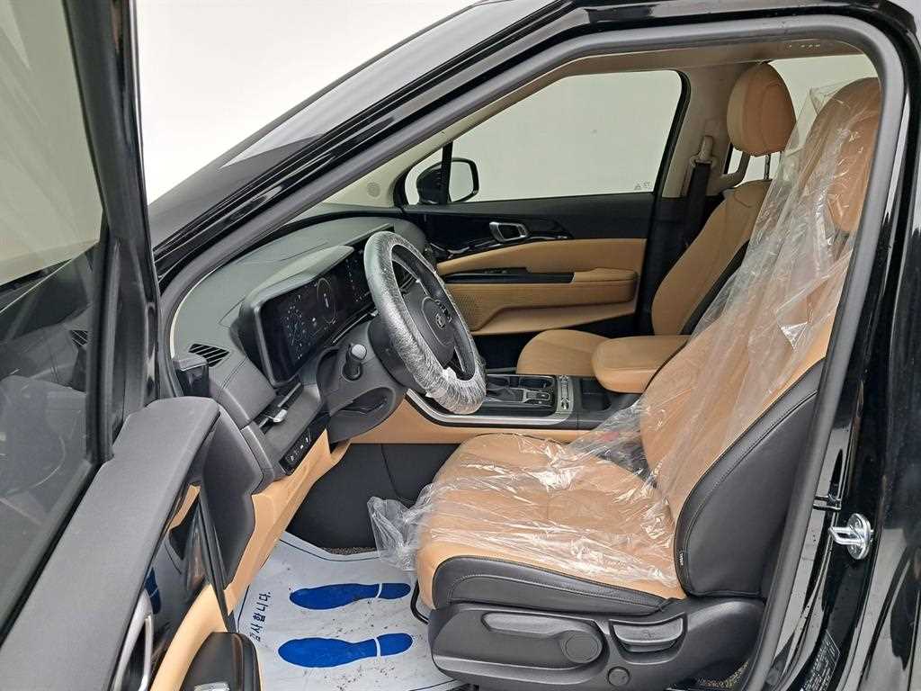 KIA Carnival - Vista 11