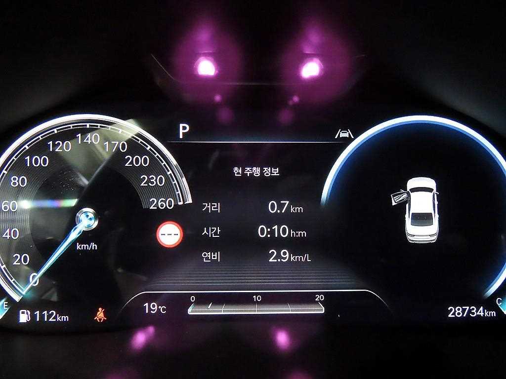 Genesis G80 - Vista 10
