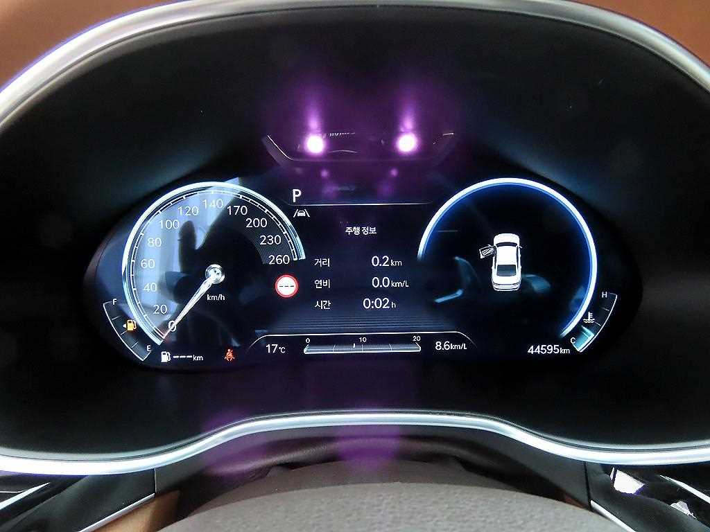 Genesis G80 - Vista 9