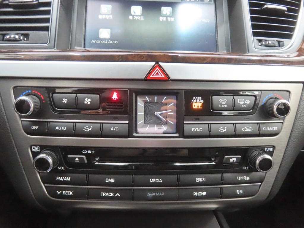 HYUNDAI Genesis - Vista 12