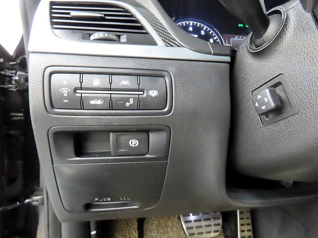 HYUNDAI Genesis - Vista 12