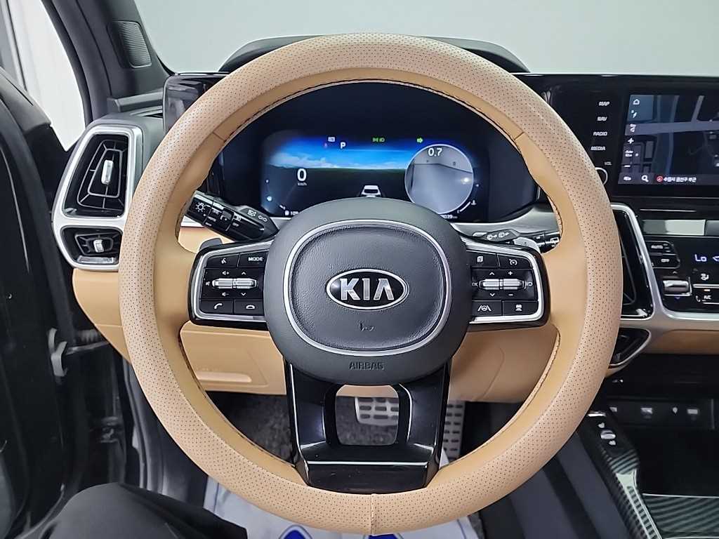 KIA Sorento - Vista 9