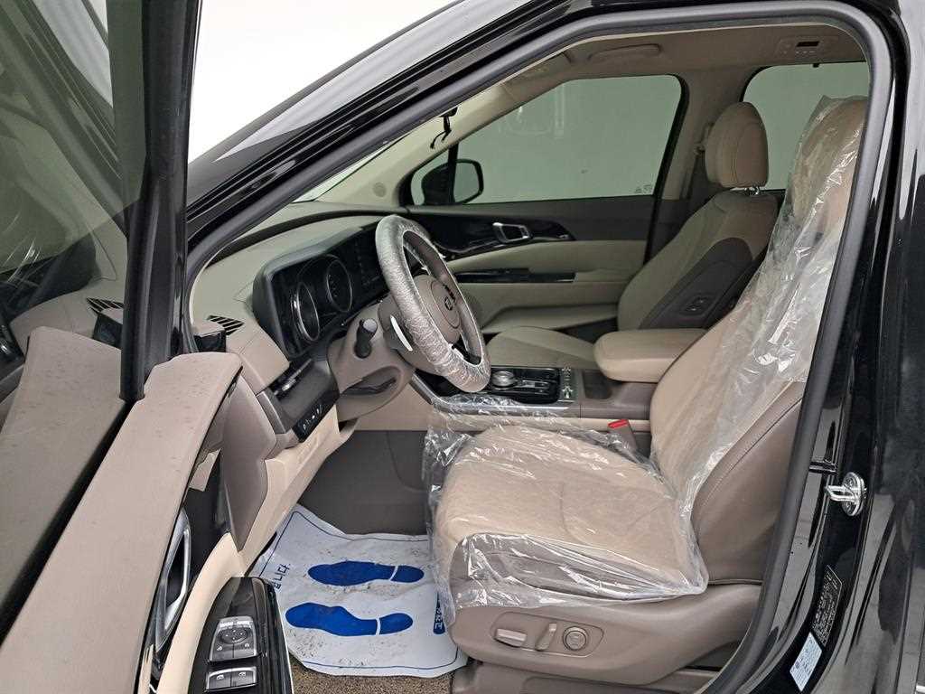 KIA Carnival - Vista 11