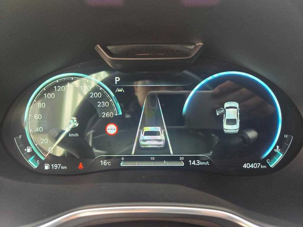 Genesis G80 - Vista 9