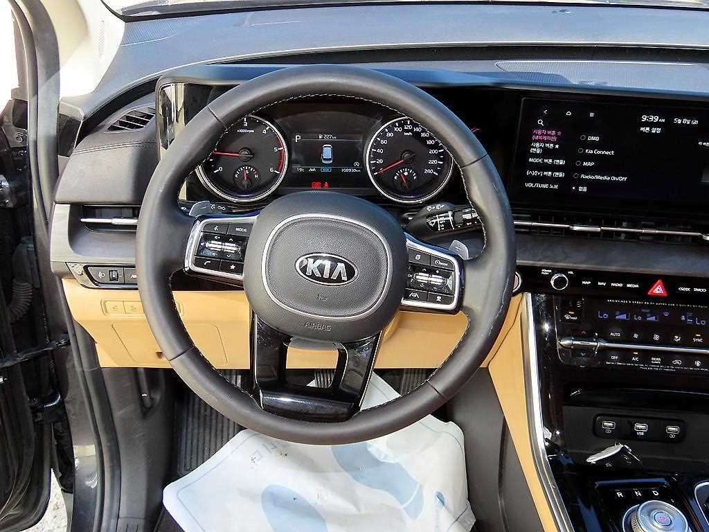 KIA Carnival - Vista 9