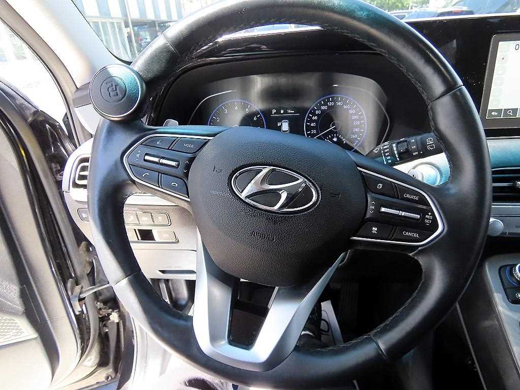 HYUNDAI Palisade - Vista 8