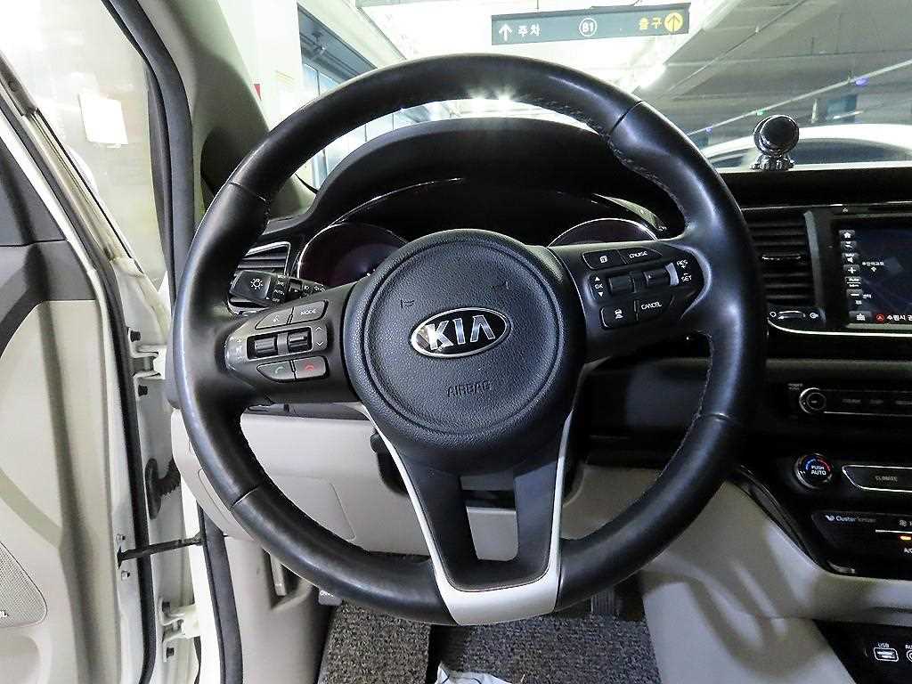 KIA Carnival - Vista 8