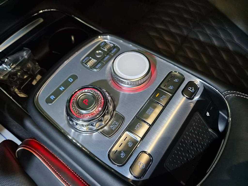 Genesis G90 - Vista 11