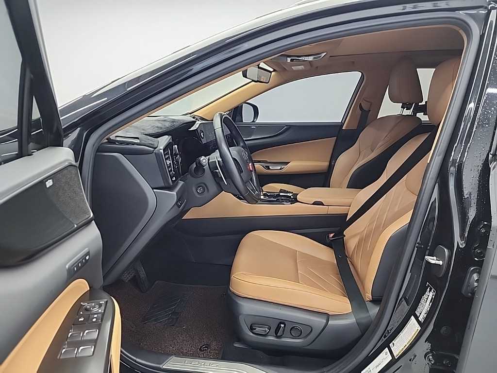 Lexus NX - Vista 11