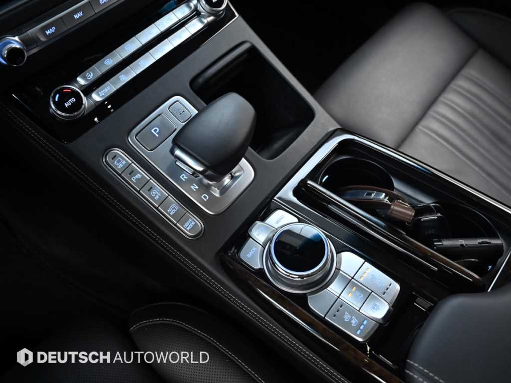 Genesis G90 - Vista 9