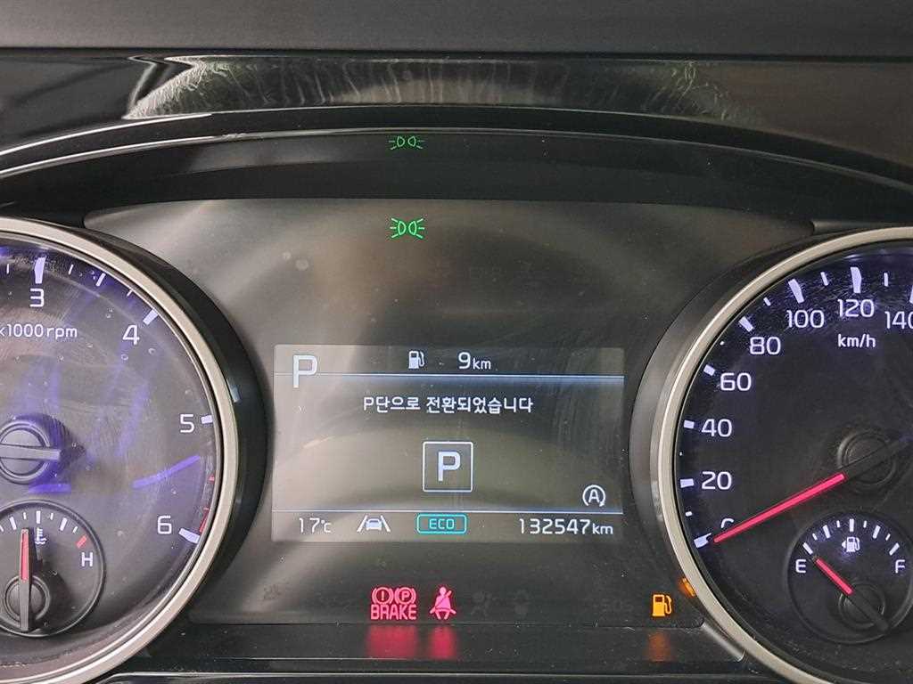 KIA Carnival - Vista 8