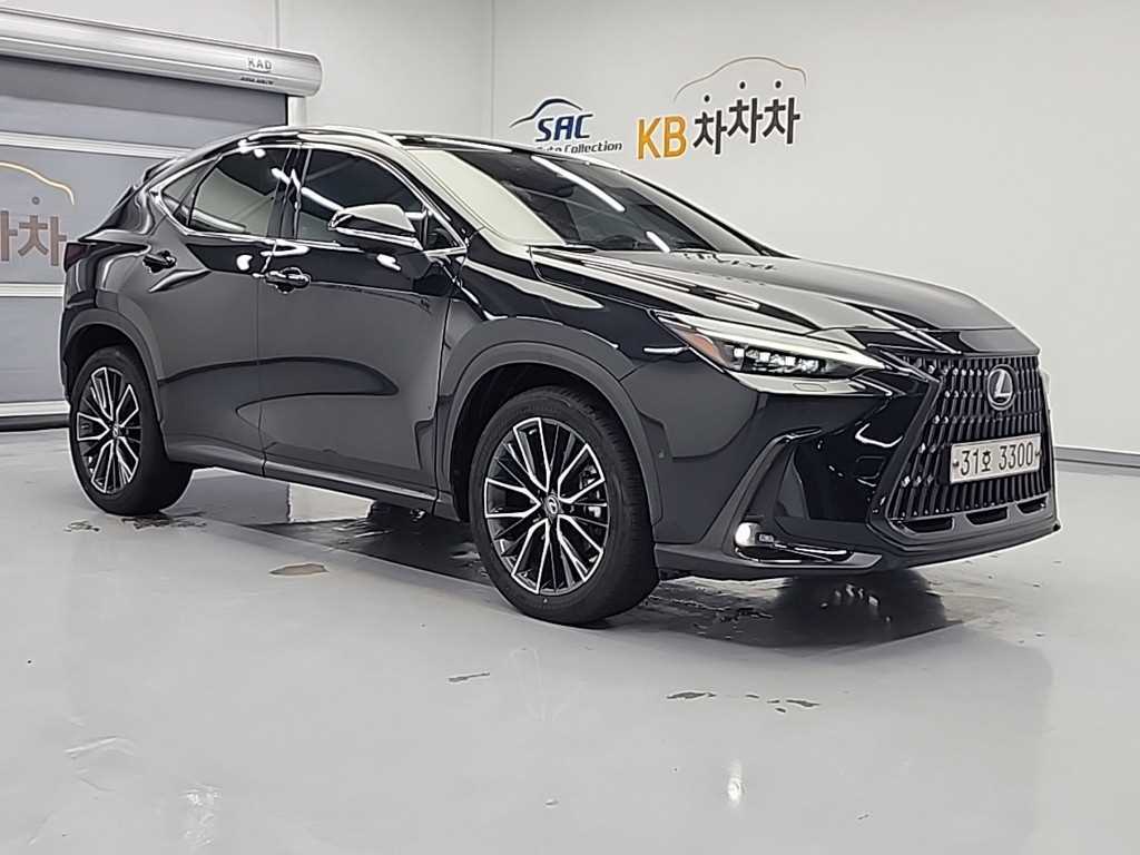 Lexus NX - Vista 4