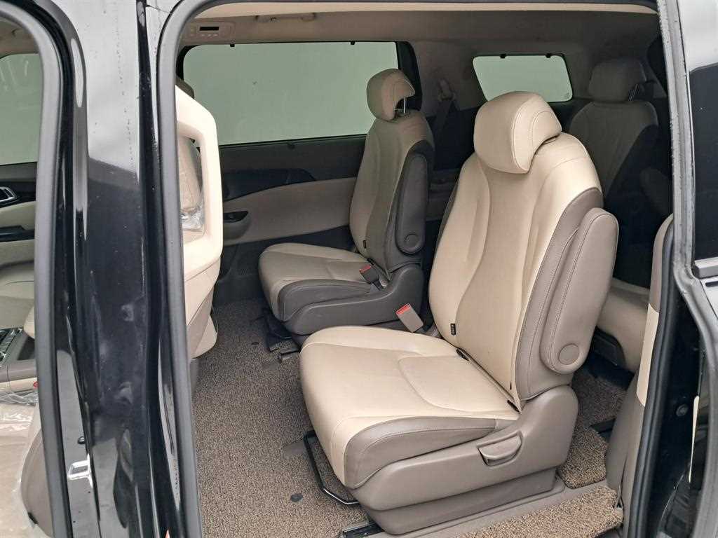 KIA Carnival - Vista 12
