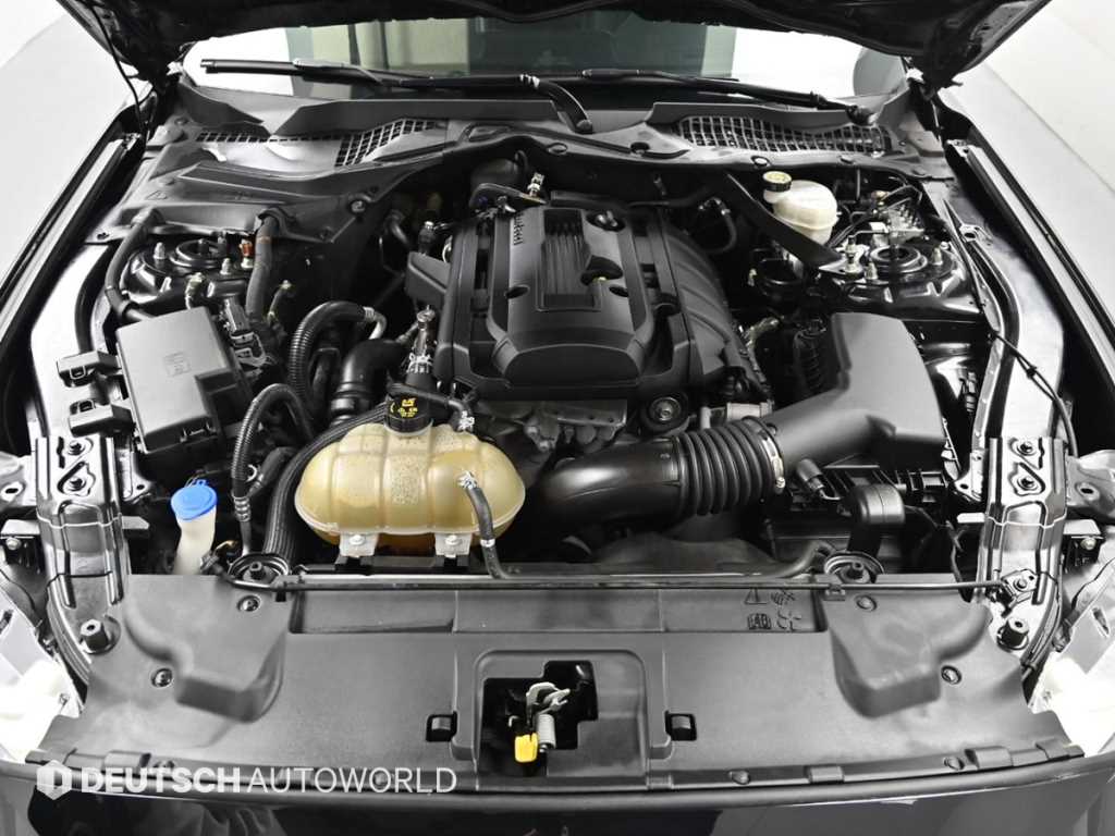 Ford Mustang - Vista 6