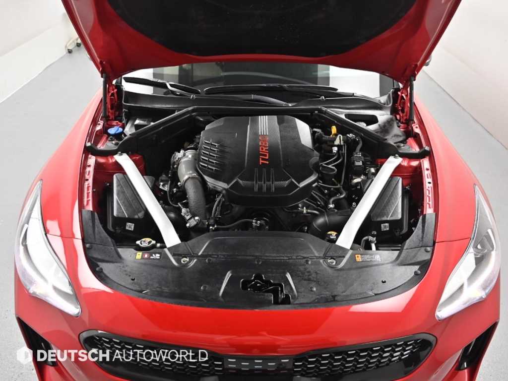 KIA Stinger - Vista 6