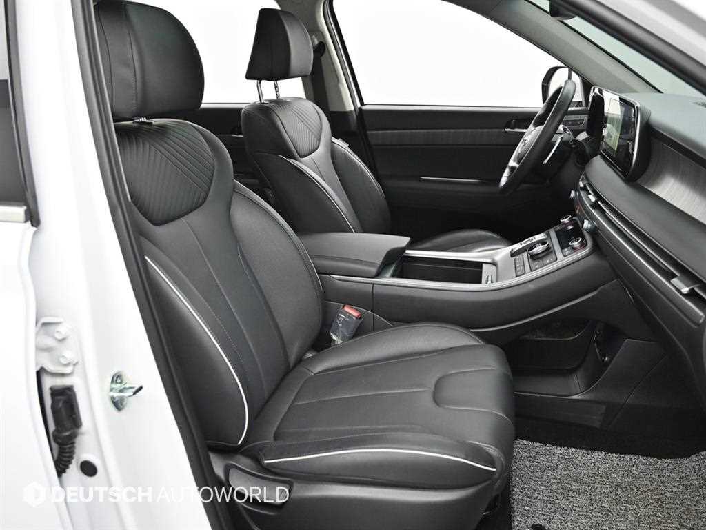 HYUNDAI Palisade - Vista 10