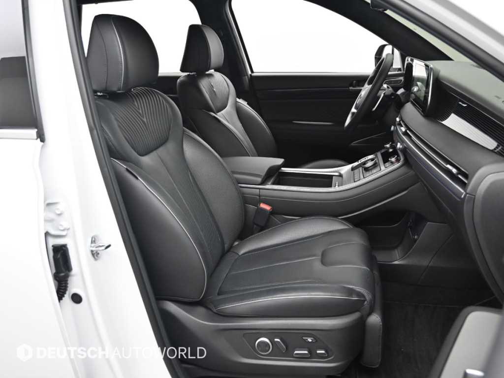 HYUNDAI Palisade - Vista 10