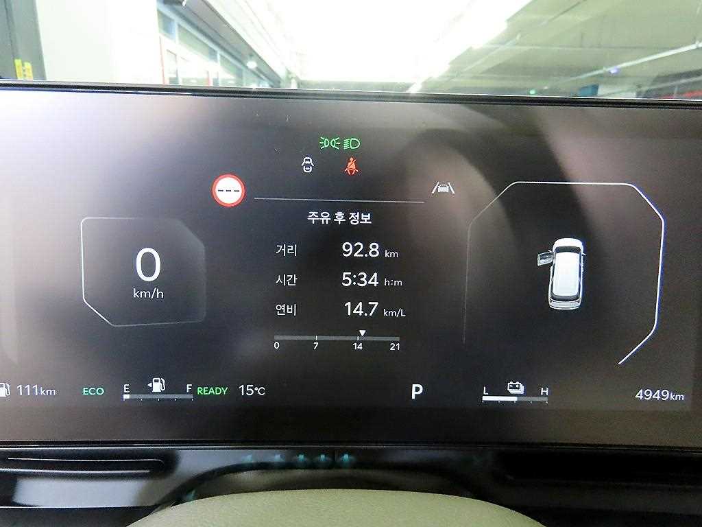 KIA Carnival - Vista 9