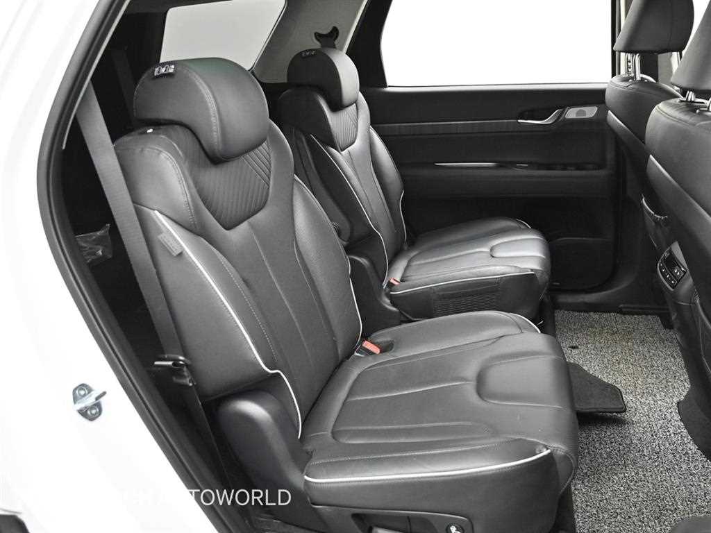 HYUNDAI Palisade - Vista 12