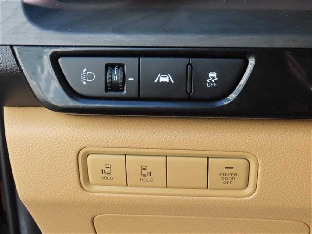 KIA Carnival - Vista 12