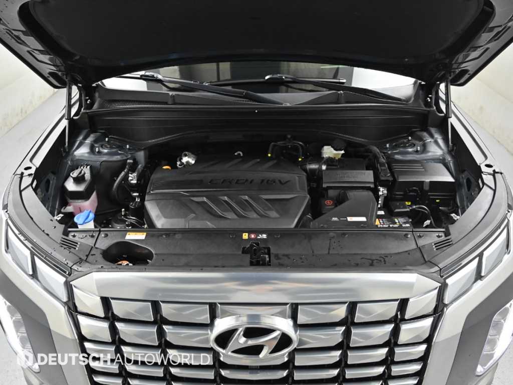 HYUNDAI Palisade - Vista 6