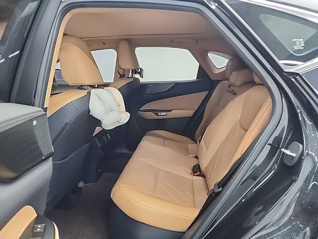 Lexus NX - Vista 12