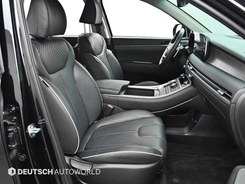 HYUNDAI Palisade - Vista 10