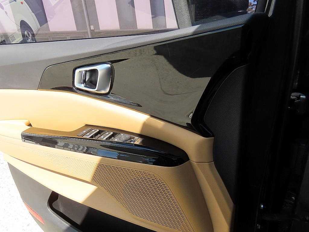 KIA Carnival - Vista 12